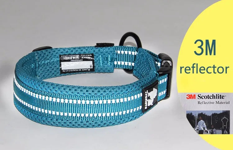 Soft Padded Mesh Dog Collar