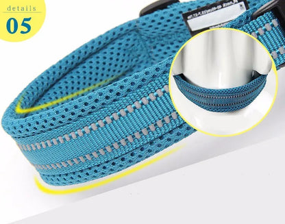 Soft Padded Mesh Dog Collar