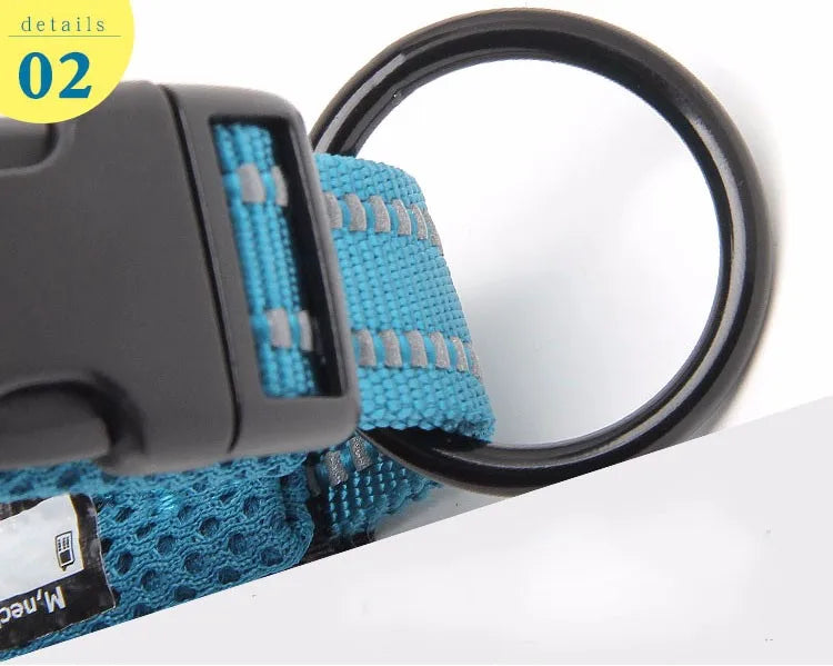 Soft Padded Mesh Dog Collar