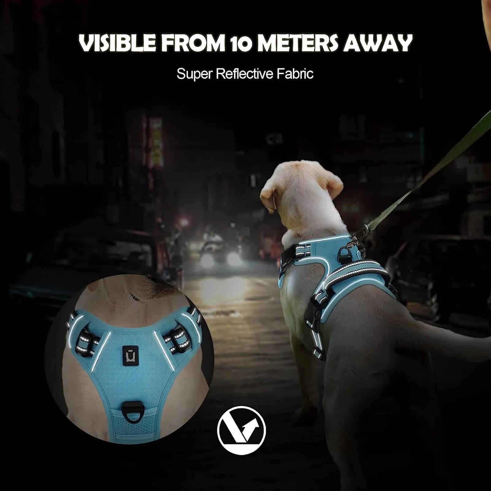 EasyControl Harness