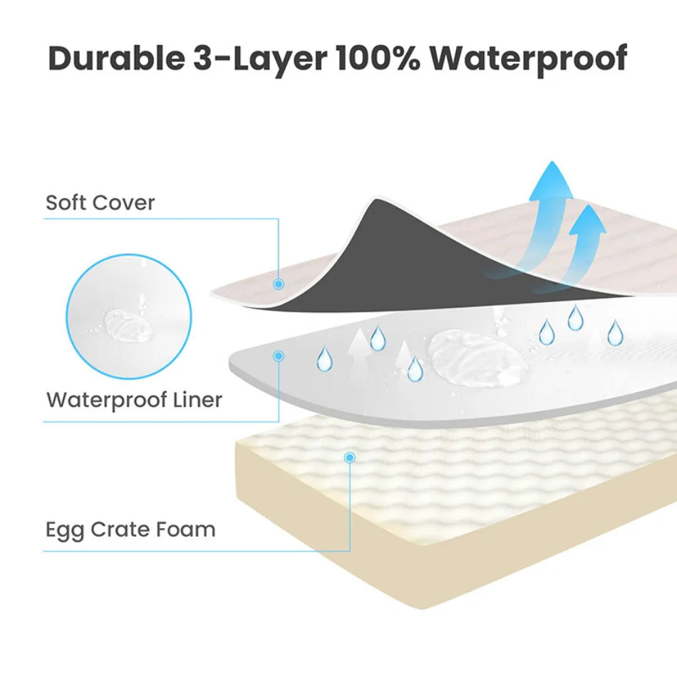 Orthopedic Pet Bed