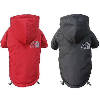 Ropa - Impermeable La Cara del Perro