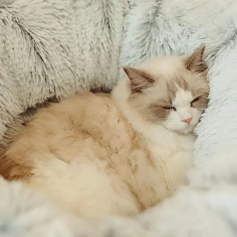 Cama túnel de peluche para mascotas