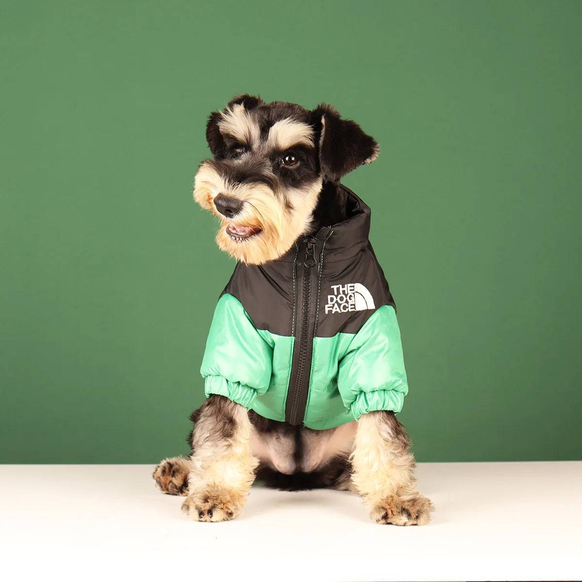 The Dog Face Jacket