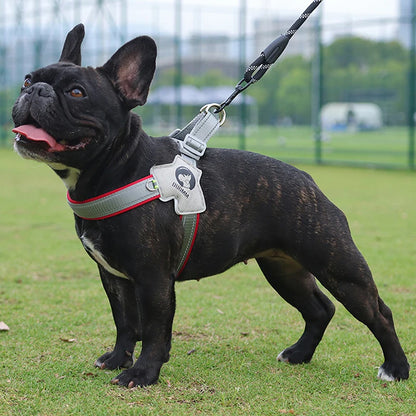 Adjustable Reflective Y Dog Harness