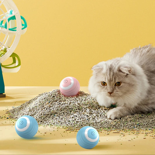 Smart Ball for Cats