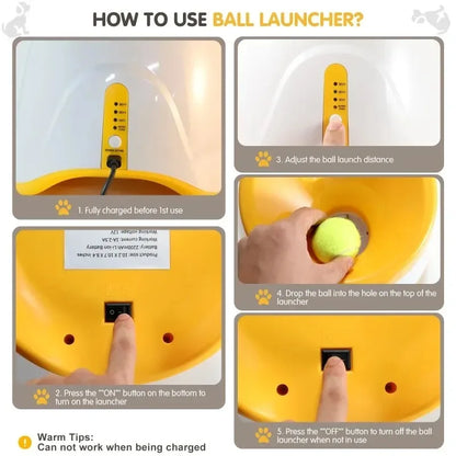 Lanzador automático de pelotas