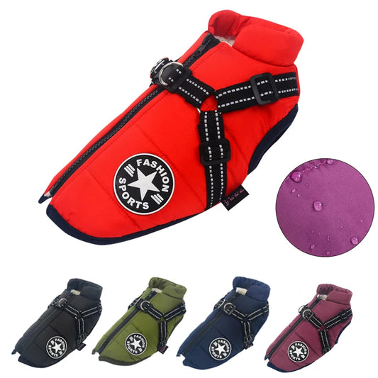 Chaqueta impermeable para perros con arnés