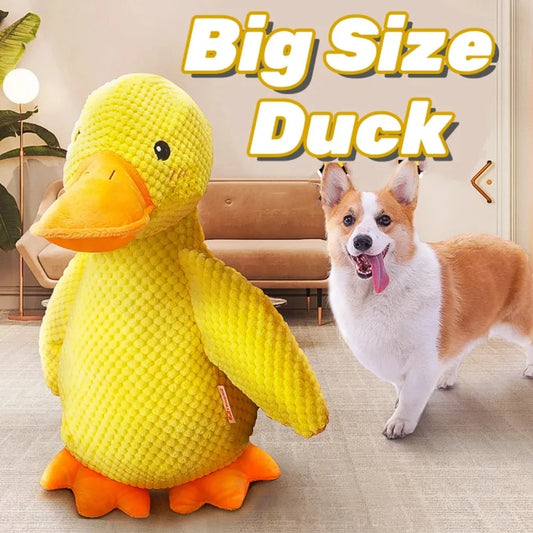 Pato de gran tamaño