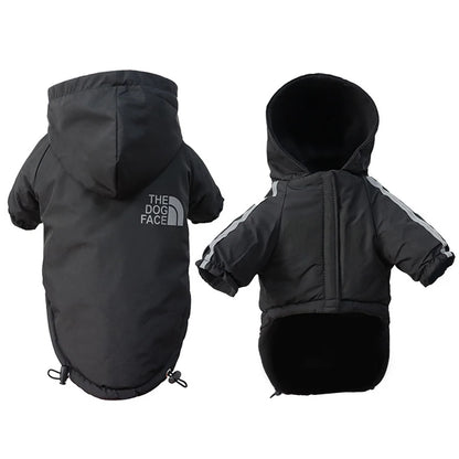Ropa - Impermeable La Cara del Perro