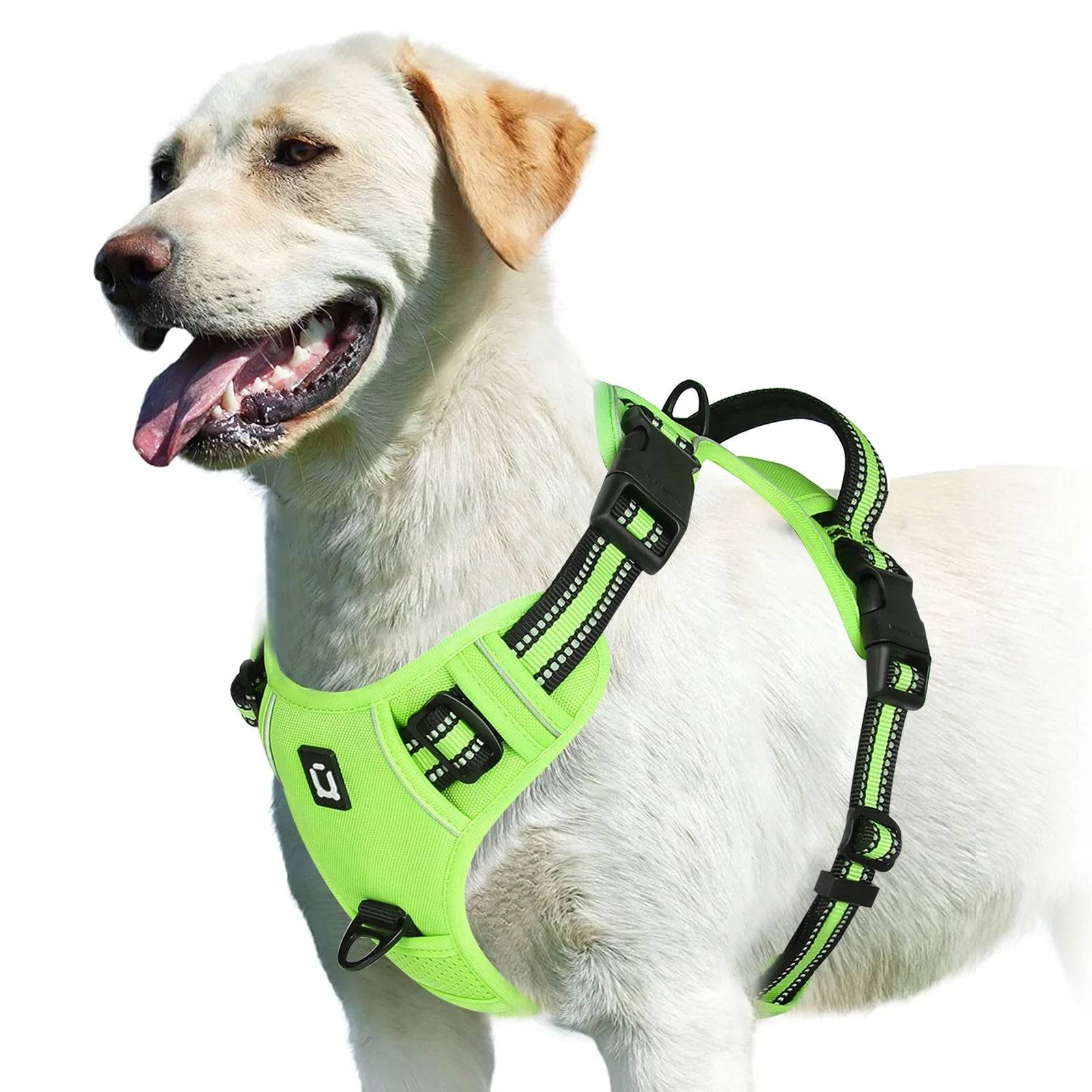 EasyControl Harness