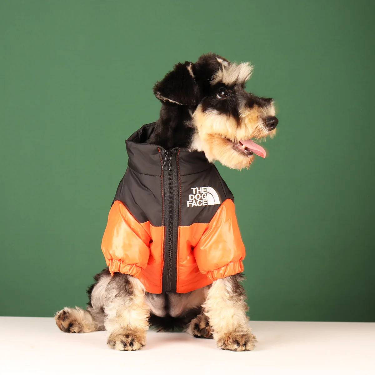 The Dog Face Jacket