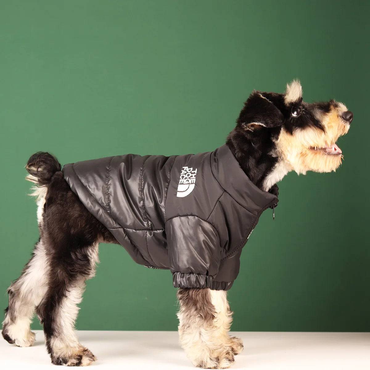 The Dog Face Jacket