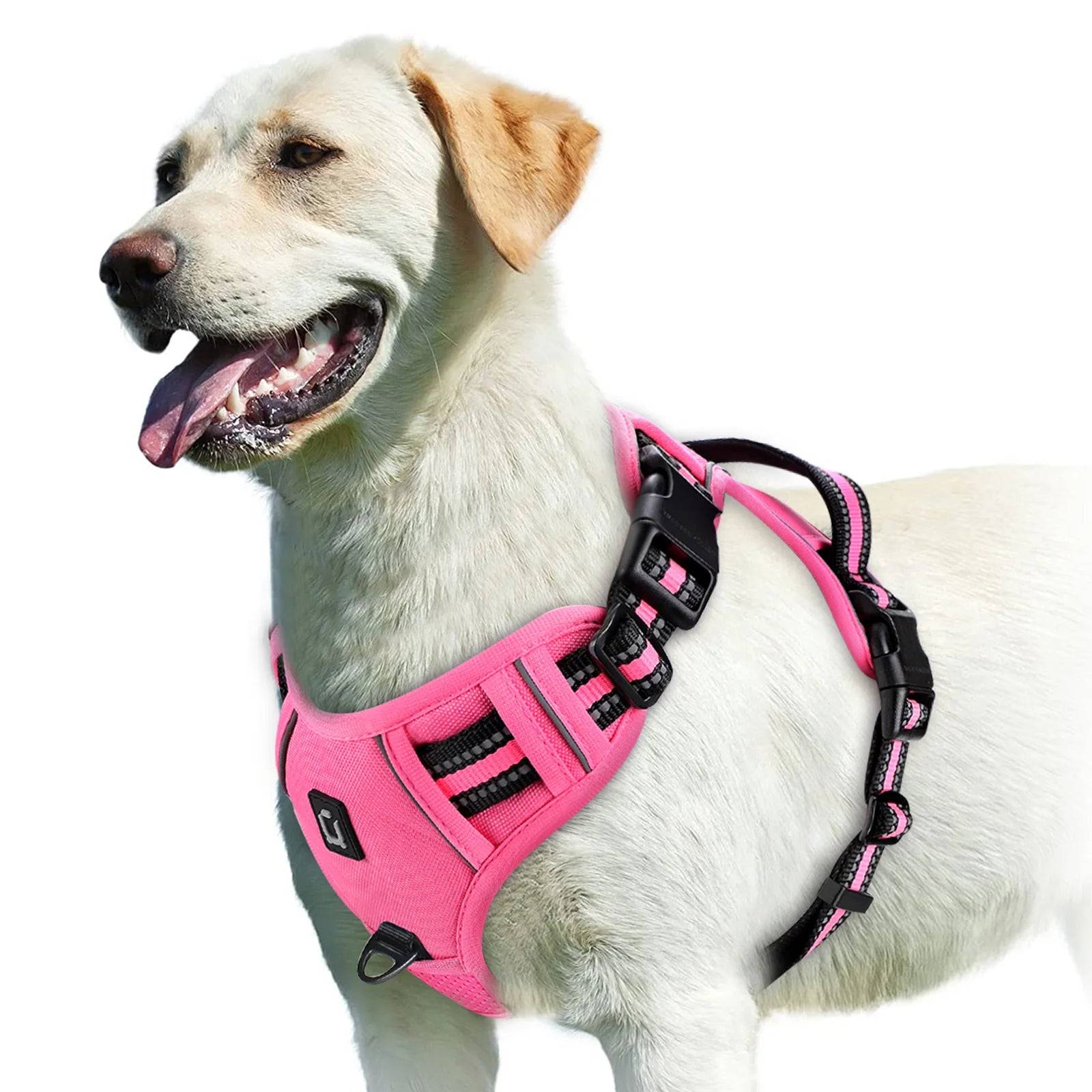EasyControl Harness
