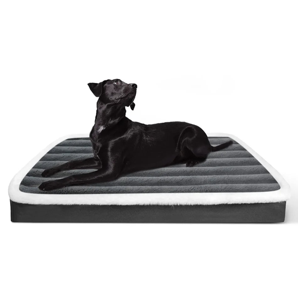 Orthopedic Pet Bed
