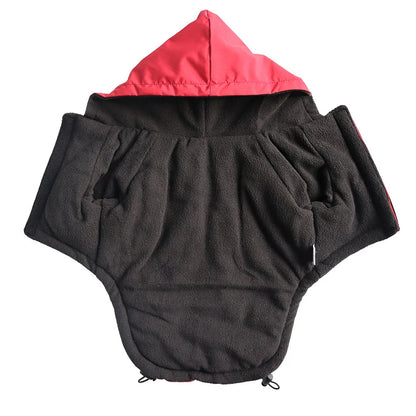 Ropa - Impermeable La Cara del Perro