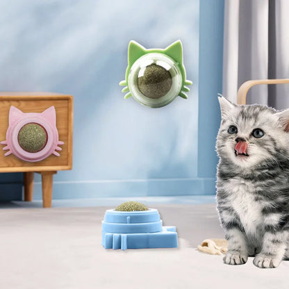 Catnip Ball Toys