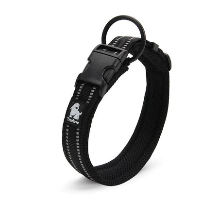 Soft Padded Mesh Dog Collar