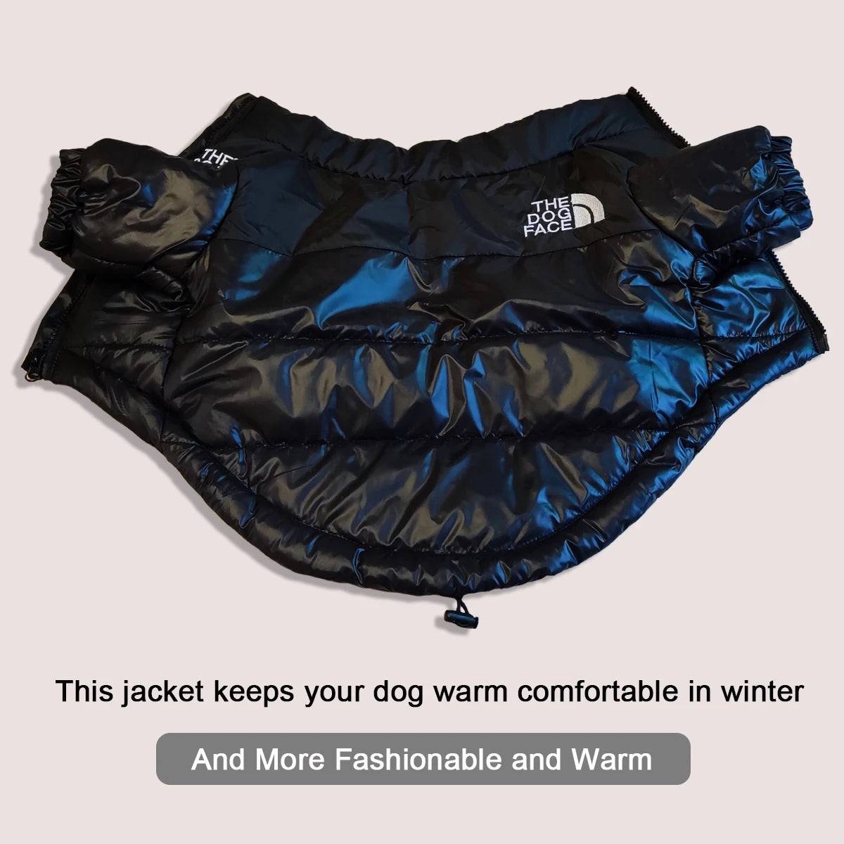 The Dog Face Jacket