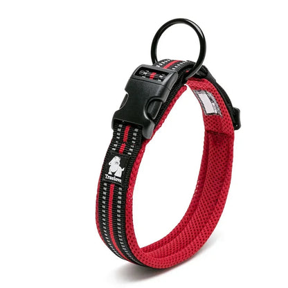 Soft Padded Mesh Dog Collar