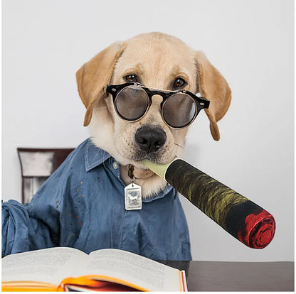 Plush Joint Dog Toy
