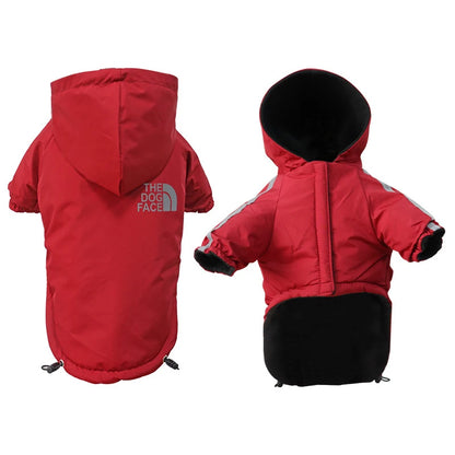 Ropa - Impermeable La Cara del Perro