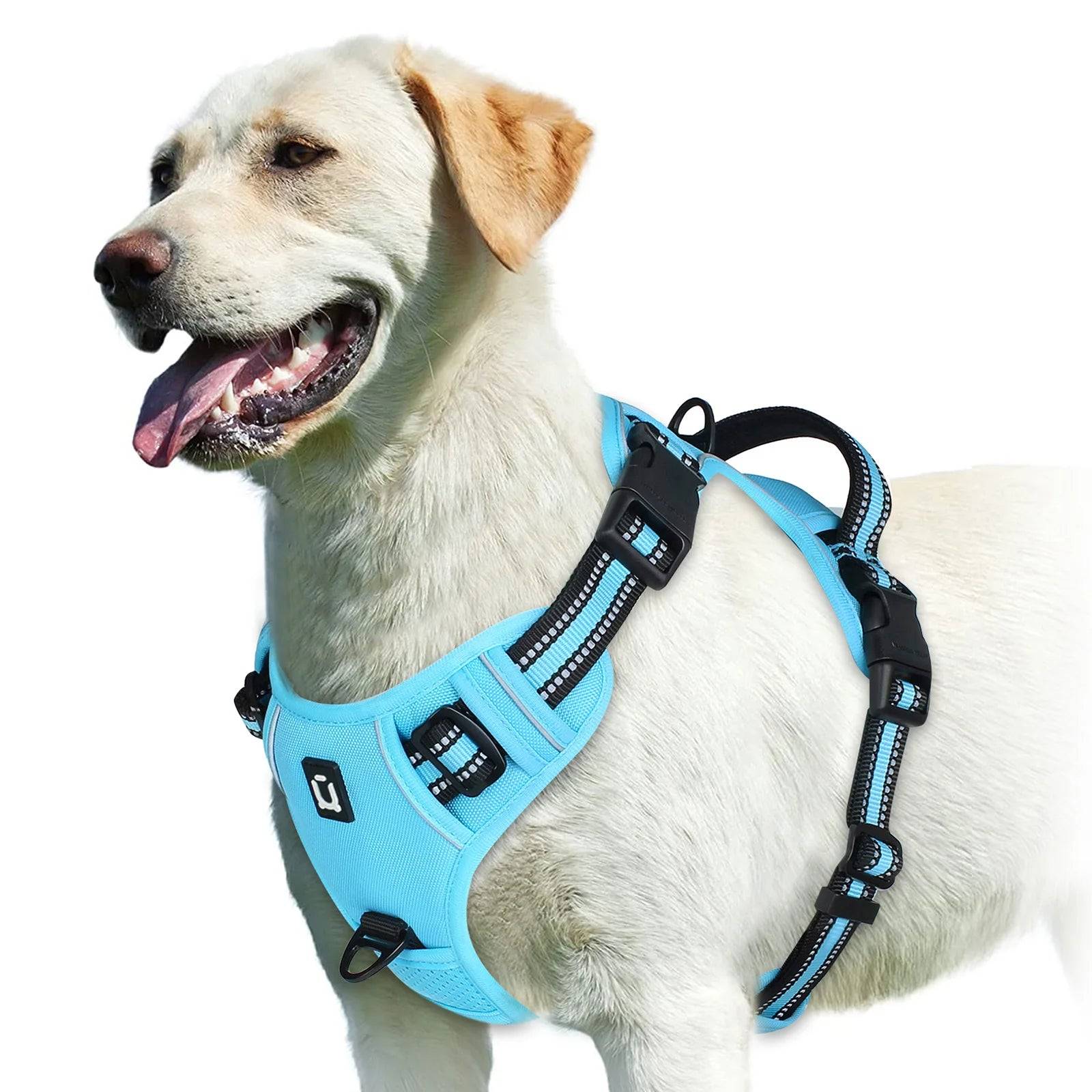 EasyControl Harness