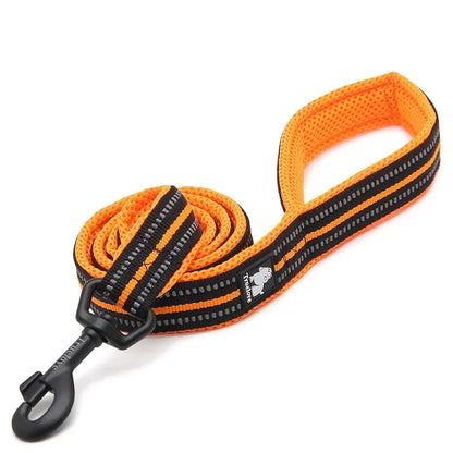 Soft Mesh Leash