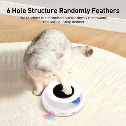 Smart Play Cat Toy